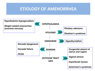ETIOLOGY OF AMENORRHEA
HYPOTHALAMUS
PITUITARY
ENDOCRINE
OVARIAN
OUTFLOW TRACT
AXIS
Congenital absent of
uterus and vagina
Vaginal atresia
Imperforate hymen
Asherman’s syndrome
Pituitary adenoma
Sheehan’s syndrome
Hypothalamic-hypogonadism
Weight related amenorrhea
(anorexia nervosa)
Hypothyroidism
Gonadal dysgenesis
Gonadal failure
PCOS
 