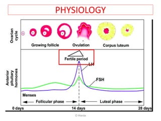 O Warda
PHYSIOLOGY
 