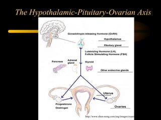 The Hypothalamic-Pituitary-Ovarian Axis
http://www.shen-nong.com/eng/images/exam/missedperiods/img_mp1
 