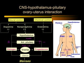 CNS-hypothalamus-pituitary
ovary-uterus interaction
Neural control Chemical control
Dopamine
(-)
Norepinephrine
(+)
Endorphins
(-)
Hypothalamus
GnRH
Ant. pituitary
FSH, LH
Ovaries
Uterus
ProgesteroneEstrogen
Menses
–± ?
 