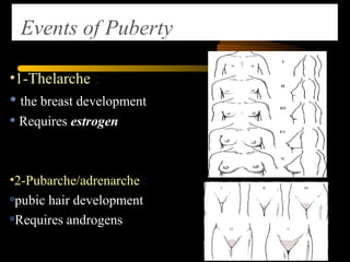 Events of Puberty
•1-Thelarche :
• the breast development
• Requires estrogenestrogen
•2-Pubarche/adrenarche :
pubic hair development
Requires androgensandrogens
 