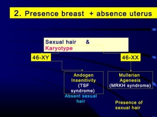 Amenorrhea made easy slideshare 2015 | PPT