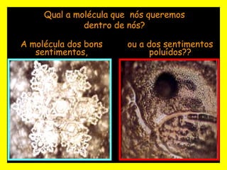 Qual a molécula que  nós queremos dentro de nós? A molécula dos bons sentimentos, ou a dos sentimentos poluídos?? 