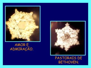 AMOR E ADMIRAÇÃO. PASTORAIS DE BETHOVEN. 