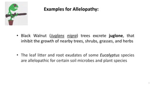 Examples for Allelopathy:
• Black Walnut (Juglans nigra) trees excrete juglone, that
inhibit the growth of nearby trees, shrubs, grasses, and herbs
• The leaf litter and root exudates of some Eucalyptus species
are allelopathic for certain soil microbes and plant species
7
 