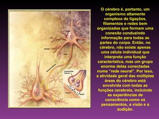 O cérebro é, portanto, um organismo altamente complexo de ligações, filamentos e redes bem organizadas que formam uma conexão conduzindo informação para todas as partes do corpo. Então, no cérebro, não existe apenas uma célula individual que interpreta uma função característica, mas um grupo enorme delas conectadas numa “rede neural”. Por isso, a atividade geral das múltiplas áreas do cérebro está envolvida com todas as funções cerebrais, incluindo as experiências de consciência como os pensamentos, a visão e a audição. 