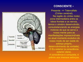 CONSCIENTE  =   Presente  => Telencéfalo (Córtex cerebral).          Na região do córtex motor, zona intermediária entre os lobos frontais e os nervos, temos o cérebro desenvolvido, consubstanciando as energias motoras de que se serve a nossa  mente  para as manifestações imprescindíveis no atual momento evolutivo do nosso modo de ser (sede do esforço próprio, desenvolvimento da vontade). O Eu exterior (a consciência exterior clara). A consciência é conquista, é prêmio aos imensos esforços. 
