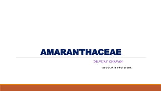 AMARANTHACEAE
DR.VIJAY CHAVAN
ASOOCIATE PROFESSOR
 