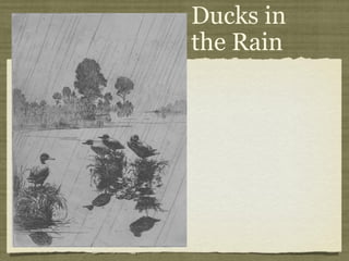 Ducks in
the Rain
 