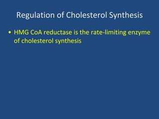 Regulation of Cholesterol Synthesis
• HMG CoA reductase is the rate-limiting enzyme
of cholesterol synthesis
 