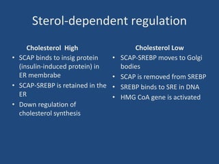 Sterol-dependent regulation
Cholesterol High
• SCAP binds to insig protein
(insulin-induced protein) in
ER membrabe
• SCAP-SREBP is retained in the
ER
• Down regulation of
cholesterol synthesis
Cholesterol Low
• SCAP-SREBP moves to Golgi
bodies
• SCAP is removed from SREBP
• SREBP binds to SRE in DNA
• HMG CoA gene is activated
 