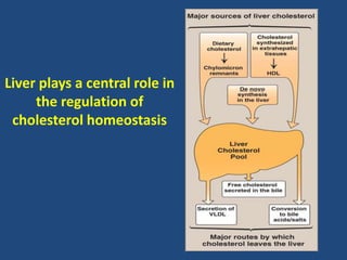 Liver plays a central role in
the regulation of
cholesterol homeostasis
 