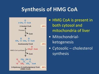Synthesis of HMG CoA
• HMG CoA is present in
both cytosol and
mitochondria of liver
• Mitochondrial-
ketogenesis
• Cytosolic – cholesterol
synthesis
 