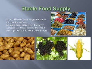 Many different crops are grown across
the country, such as
potatoes, corn, grapes, etc. However
America also trades around the world
and supplies food to many other nations.
 
