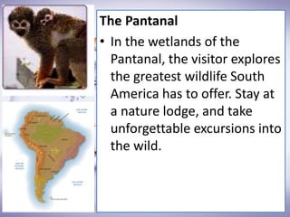 The Pantanal
• In the wetlands of the
Pantanal, the visitor explores
the greatest wildlife South
America has to offer. Stay at
a nature lodge, and take
unforgettable excursions into
the wild.
 