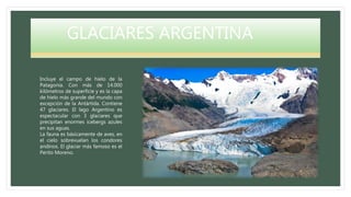 GLACIARES ARGENTINA
Incluye el campo de hielo de la
Patagonia. Con más de 14.000
kilómetros de superficie y es la capa
de hielo más grande del mundo con
excepción de la Antártida. Contiene
47 glaciares. El lago Argentino es
espectacular con 3 glaciares que
precipitan enormes icebergs azules
en sus aguas.
La fauna es básicamente de aves, en
el cielo sobrevuelan los condores
andinos. El glaciar más famoso es el
Perito Moreno.
 