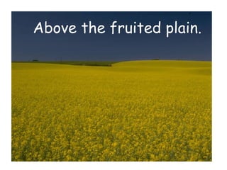 Above the fruited plain.