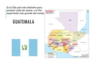 GUATEMALA
Es el 2do país más eficiente para
producir caña de azúcar y el 5to
exportador más grande del mundo.
 