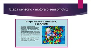 Etapa sensorio - motora o sensomotriz
 