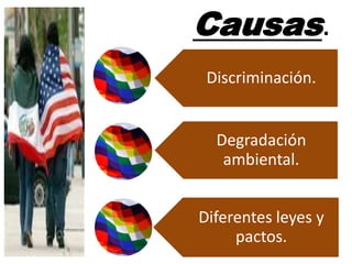 Causas.
.




    Discriminación.


     Degradación
      ambiental.


Diferentes leyes y
     pactos.
 
