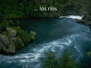 … los ríos
 