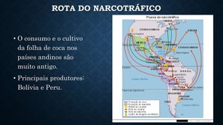 ROTA DO NARCOTRÁFICO
• O consumo e o cultivo
da folha de coca nos
países andinos são
muito antigo.
• Principais produtores:
Bolívia e Peru.
 