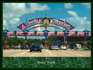 Disney World
 