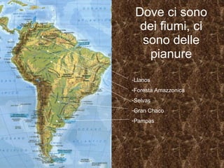Dove ci sono dei fiumi, ci sono delle pianure Llanos  Foresta Amazzonica Selvas Gran Chaco Pampas 