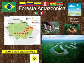 Foresta Amazzonica Rio delle Amazzoni CLIMA UMIDO EQUATORIALE 