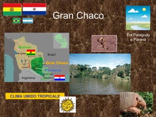 Gran Chaco Tra Paraguay e Paranà CLIMA UMIDO TROPICALE 