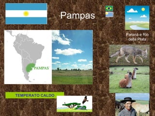 Pampas Paranà e Rio della Plata TEMPERATO CALDO 
