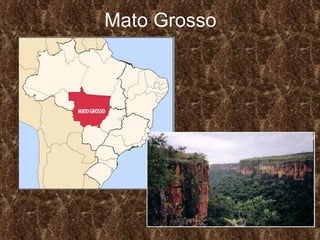 Mato Grosso 