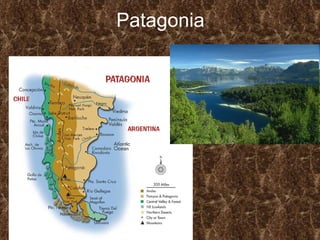 Patagonia 