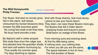17
https://www.encyclopedia.com/arts/educational-magazines/thanatopsis
https://www.poetryfoundation.org/poems/50465/thanatopsis
The Wild Honeysuckle
Philip Freneau
Fair flower, that dost so comely grow,
Hid in this silent, dull retreat,
Untouched thy honied blossoms blow,
Unseen thy little branches greet:
No roving foot shall crush thee here,
No busy hand provoke a tear.
By Nature's self in white arrayed,
She bade thee shun the vulgar eye,
And planted here the guardian shade,
And sent soft waters murmuring by;
Thus quietly thy summer goes,
Thy days declining to repose.
Smit with those charms, that must decay,
I grieve to see your future doom;
They died—nor were those flowers more gay,
The flowers that did in Eden bloom;
Unpitying frosts and Autumn's power
Shall leave no vestige of this flower.
From morning suns and evening dews
At first thy little being came;
If nothing once, you nothing lose,
For when you die you are the same;
The space between is but an hour,
The frail duration of flower.
 