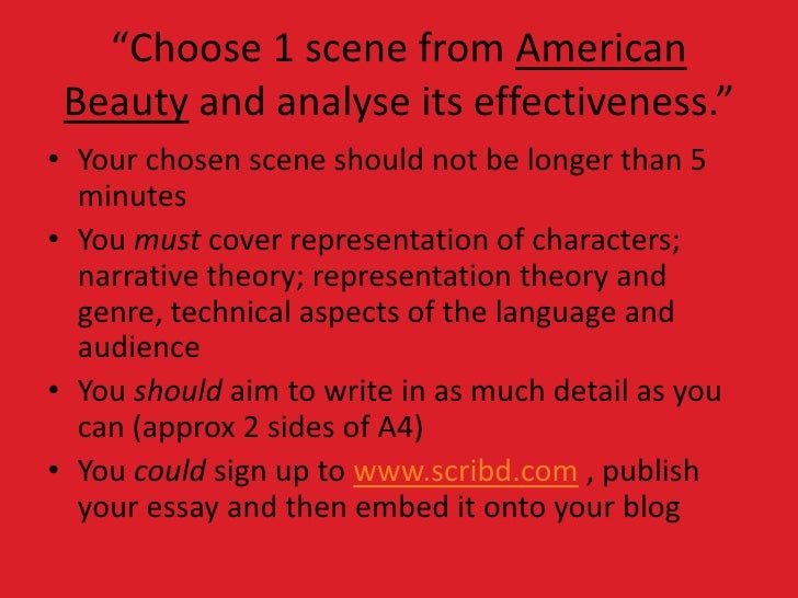 american beauty essays