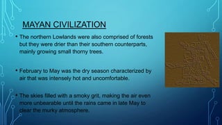 MAYAN CIVILIZATION
• The northern Lowlands were also comprised of forests
but they were drier than their southern counterparts,
mainly growing small thorny trees.

• February to May was the dry season characterized by
air that was intensely hot and uncomfortable.

• The skies filled with a smoky grit, making the air even
more unbearable until the rains came in late May to
clear the murky atmosphere.

 