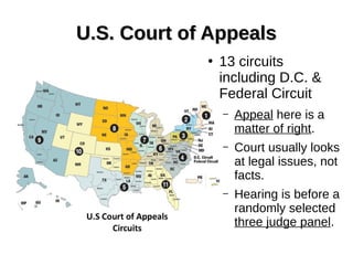 U.S. Court of AppealsU.S. Court of Appeals
●
13 circuits
including D.C. &
Federal Circuit
– Appeal here is a
matter of right.
– Court usually looks
at legal issues, not
facts.
– Hearing is before a
randomly selected
three judge panel.
 