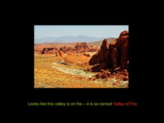 Looks like this valley is on fire – it is so named  Valley of Fire 
