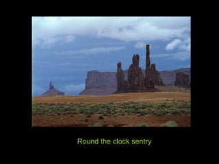 Round the clock sentry 