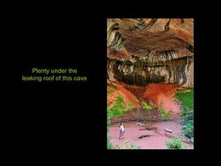 Plenty under the leaking roof of this cave 