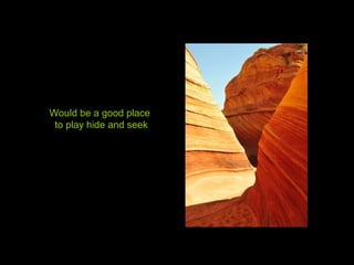 Would be a good place
to play hide and seek
 