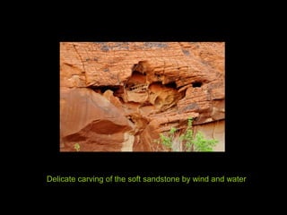 Delicate carving of the soft sandstone by wind and water
 