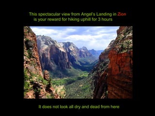 This spectacular view from Angel’s Landing in Zion
is your reward for hiking uphill for 3 hours
It does not look all dry and dead from here
 