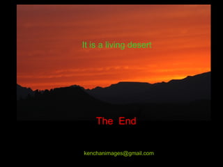 kenchanimages@gmail.com
It is a living desert
The End
 