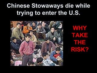 Chinese Stowaways die while
trying to enter the U.S.
WHY
TAKE
THE
RISK?
 