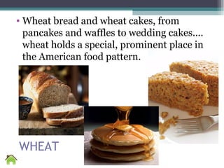 WHEAT
• Wheat bread and wheat cakes, from
pancakes and waffles to wedding cakes....
wheat holds a special, prominent place in
the American food pattern.
 