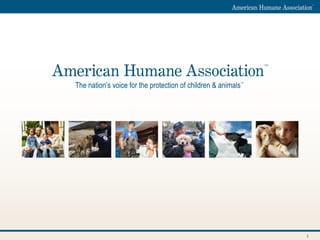 American Humane Association - Policy priorities and data needs regarding the protection of children