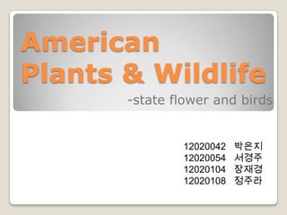 American
Plants & Wildlife
-state flower and birds

12020042
12020054
12020104
12020108

박은지
서경주
장재경
정주라

 