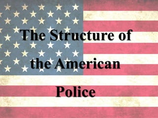 The Structure of
the American
Police
 
