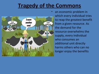 Tragedy of the Commons
• an economic problem in
which every individual tries
to reap the greatest benefit
from a given resource. As
the demand for the
resource overwhelms the
supply, every individual
who consumes an
additional unit directly
harms others who can no
longer enjoy the benefits
 